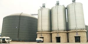 10000 Ton Cement Storage Steel Silo