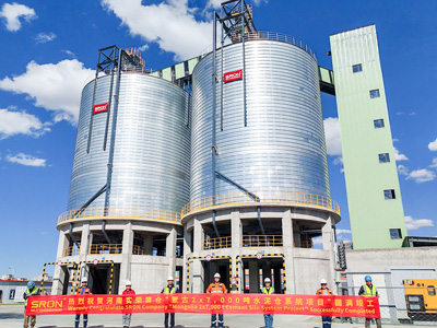 SRON Mongolia 2x7000 ton cement storage steel silo project successfully passed the completion acceptance