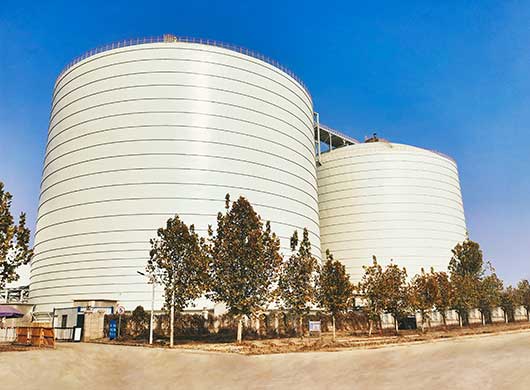 Fly Ash Silo System
