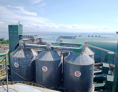 the Philippines 10x10,000 Tons Large Welded Steel Silos Project