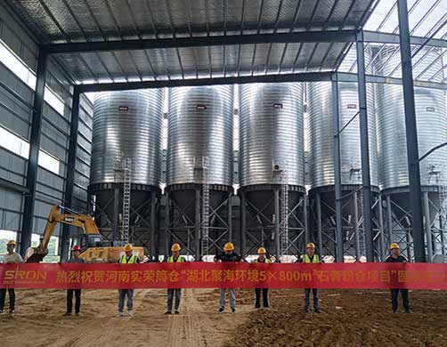 China 5×800m³ Gypsum Powder Silos Project