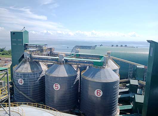 the Philippines 10x10,000 Tons Large Welded Steel Silos Project